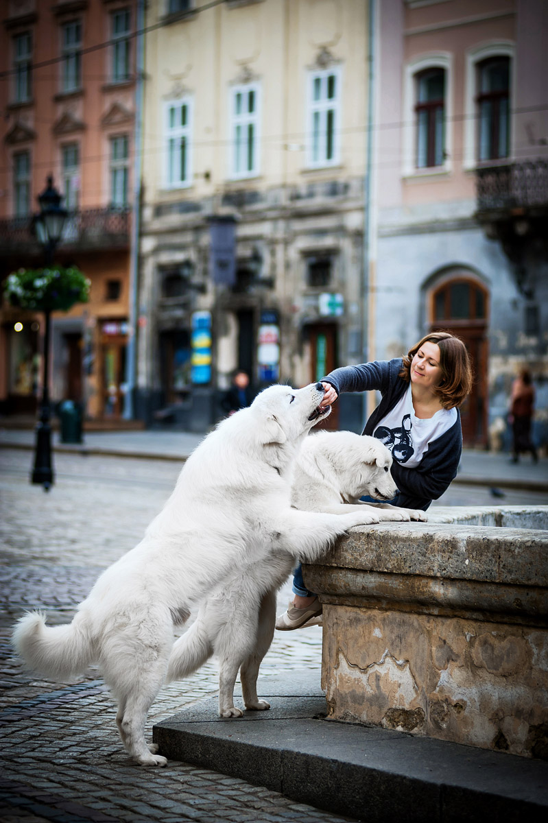3-photosession-lviv-marremano-shipdog