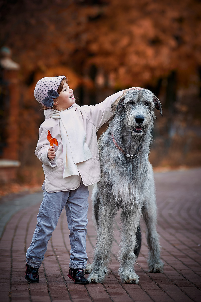 34-photosession-girl-wolfhound